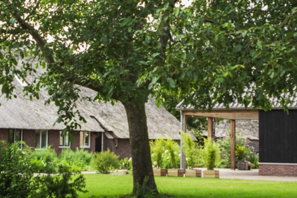 Ermerhoek, In De Hof Esterno foto